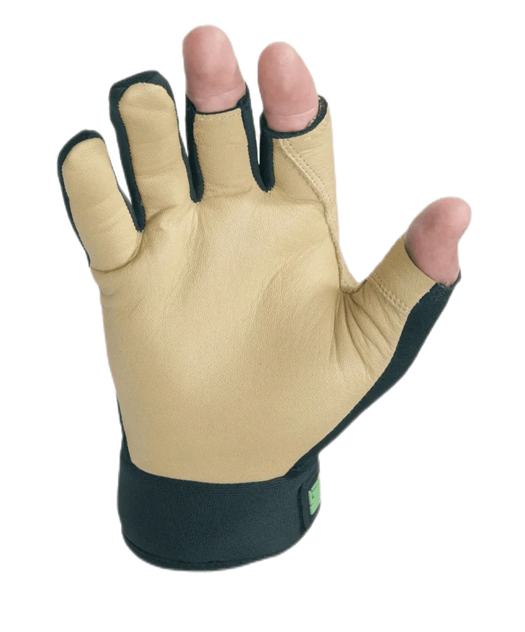 Natural 3 Fingers