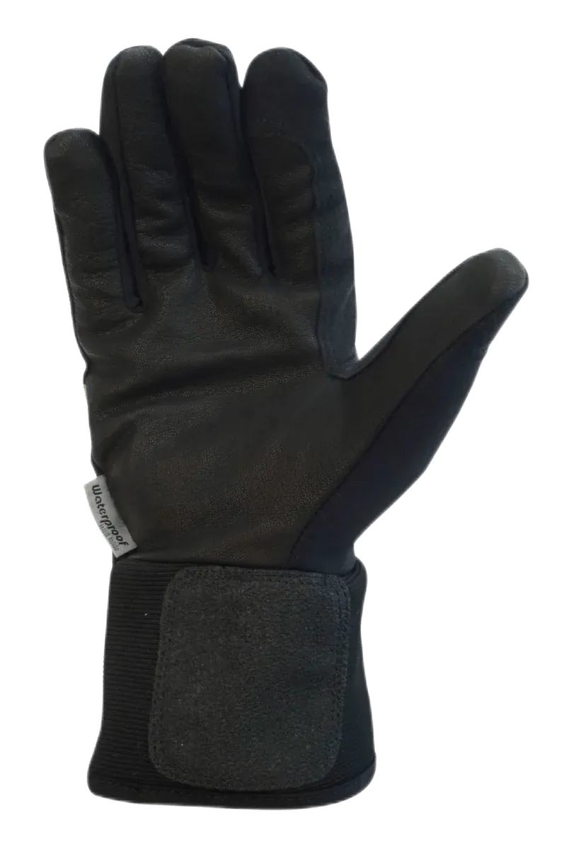 Proof Winter Plus